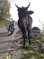 ViajeIndiaSuper7moto-31