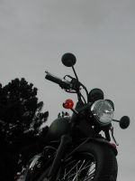 DSCN4610